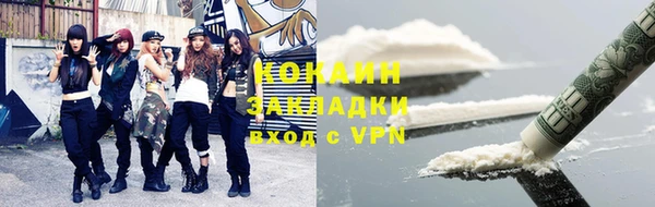 молекула духа Каменка
